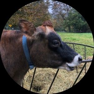 Meet your Posher, Vikki